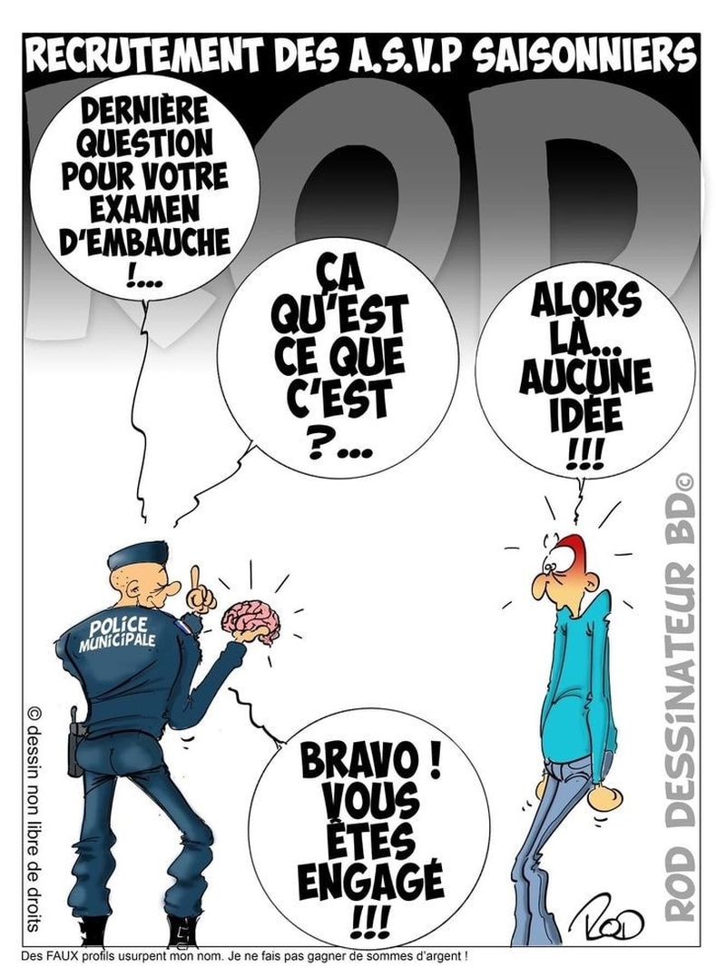 cerveau