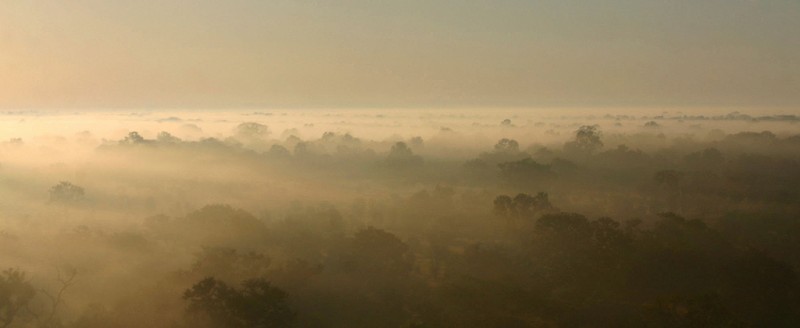 Nevoeiro matinal na Gorongosa. Foto de Bart Wursten no Flickr (CC BY-NC-SA 2.0)