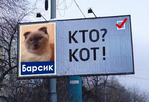 "Who? A cat!" (In Russian, these words are spelled very similarly.) Screencap: Vkontakte.