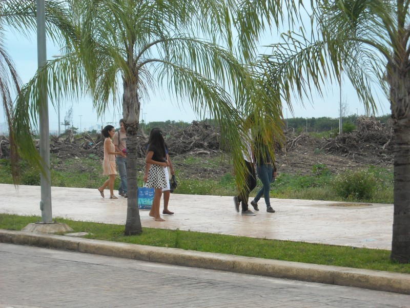Young people out for a stroll next to destroyed Tajamar Mangrove. Photo: Danica Jorden