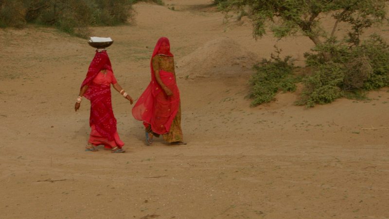 Veiled women going to work in the Thar desert. Image from Flickr by Nagarjun Kandukuru. CC BY 2.0