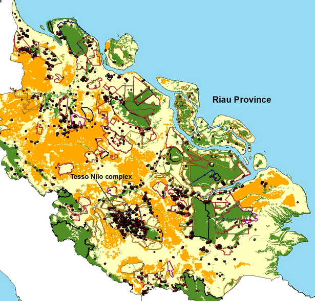 Forest fire hotspots in Riau, Indonesia. Image from Eyes on the Forest.