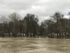 Crue de la Seine, ile de Puteaux inondée