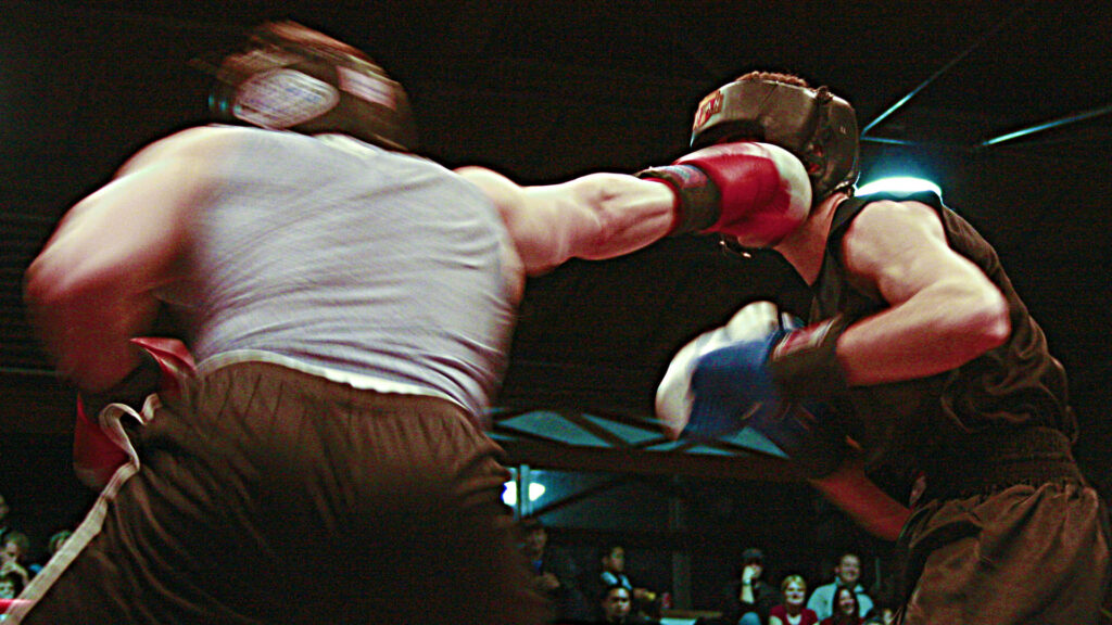 boxe combat bagarre