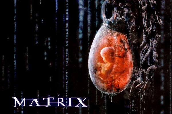 matrix.jpeg