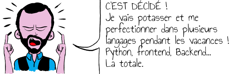 C EST DÉCIDÉ   Je vais potasser et me perfectionner dans plusieurs langages pendant les vacances   Python  frontend  Backend    La totale .jpg
