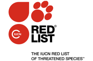 Liste rouge 2014 des espèces menacées : 80 % des orchidées et 94 % des lémuriens en voie d'extinction