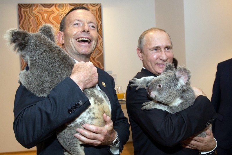 7775346133_le-president-russe-valdimir-poutine-et-le-premier-ministre-australien-tony-abbott-avec-des-koalas-au-g20