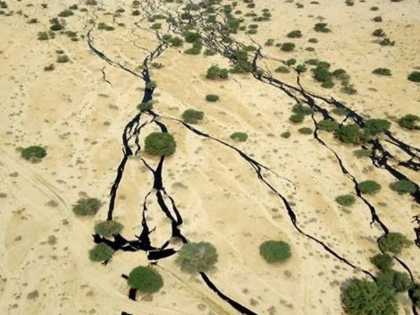 Israël: Le nettoyage de la catastrophique marée noire qui touche la réserve d'Arava prendra des années