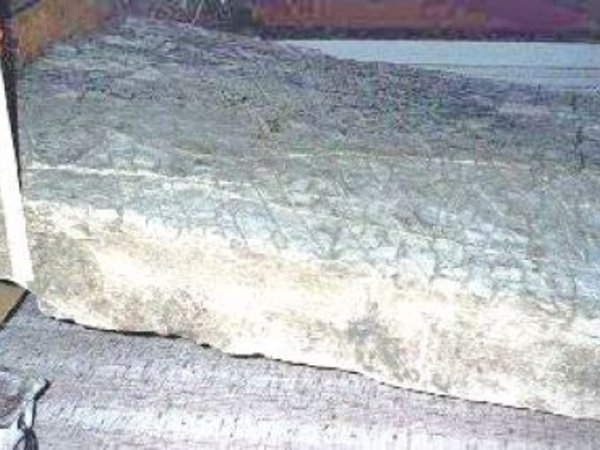 Vieille de 120 millions d'années, la pierre de Dashka, découverte en 1999, révèle un passé hautement civilisé